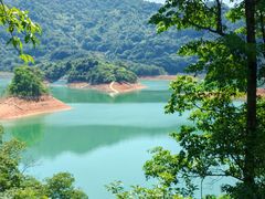 -广州市流溪河国家森林公园