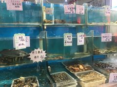 水产区-大城·烧烤海鲜大排档(台东店)