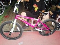 -美利达自行车(天通西苑一区店)