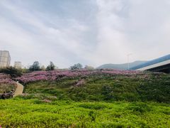 -龙洞风景区-藏龙涧