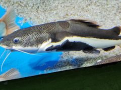 -顺德南宏海立方海洋公园