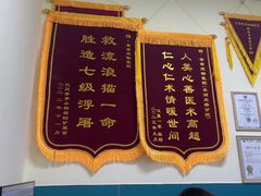 -乖乖宠物医院·猫科·急重症中心(车站北路分院)