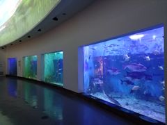 -上海长江河口科技馆