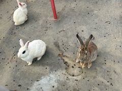 -嬉乐湾休闲旅游区