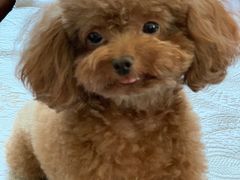 -乐宠宠物店(世纪金源店)