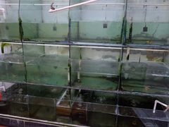 水产区-状元楼(金溪路店)