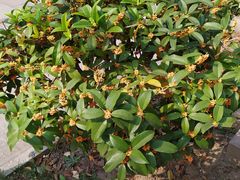 -宝泉胜境旅游度假区