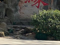 -杭州黄龙洞