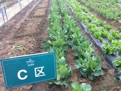 认养地2-上膳源有机农场