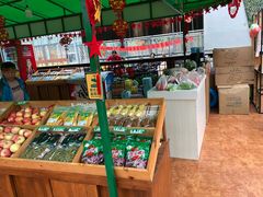-北戴河集发农业梦想王国