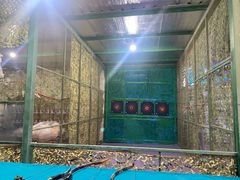 -石狮世茂摩天城摩天轮