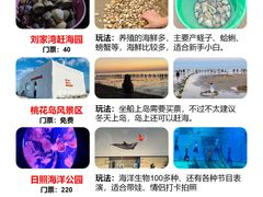 -巧克力渔家.小船海鲜胶东菜(万平口店)