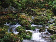 -龙苍沟森林公园