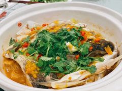 生焗大鱼头-翰林宴(阜南路店)
