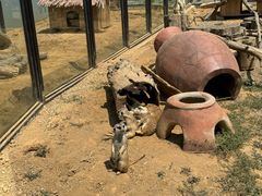 -大连森林动物园