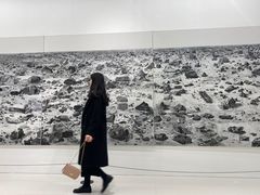 -金茂览秀城