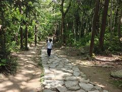 -冶父山国家森林公园