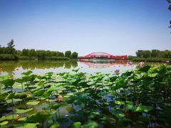 -东郊湿地公园