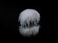 -成都许燎源现代设计艺术博物馆