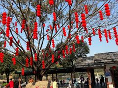 -莲花山公园