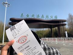 -黄海国家森林公园