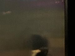 -MEDISN·药厂