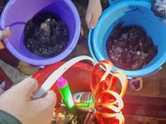 -日照灯塔风景区