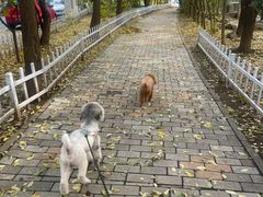 -宠福鑫动物医院·动物疾病诊疗中心(天通苑店)