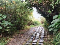 -鹅銮鼻公园