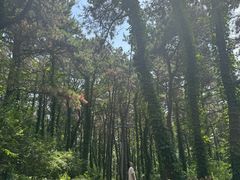 -棋盘山风景区