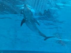 -波塞冬旅游度假区