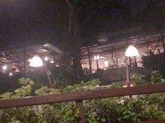 -卷心菜和避孕套餐厅(Pattaya)