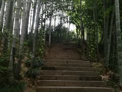 -杭州黄龙洞