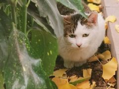 -华山医院-食堂