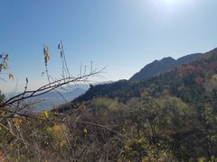 -阳台山自然风景区