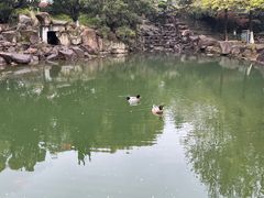 -白马涧龙池景区