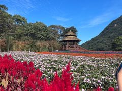 -广州市石门国家森林公园