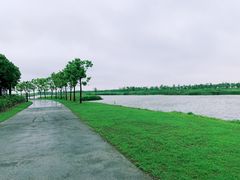 -春花秋色城市公园