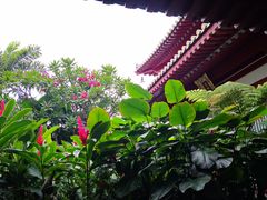 -新加坡佛牙寺龙华院