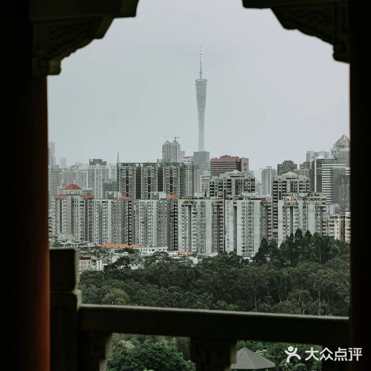 广州本地人去哪玩｜8个适合散步的公园