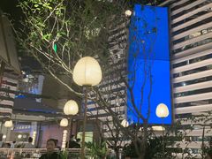 -桂满陇·海市蜃楼·黑金(国金店)