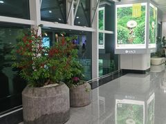 -福州长乐国际机场