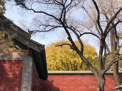 -晋祠公园