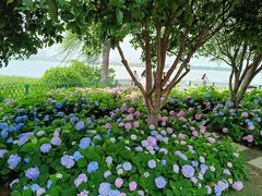 -金银湖国家城市湿地公园