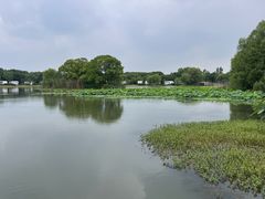 -梁鸿国家湿地公园