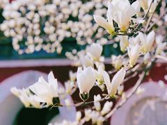 -北京艺术博物馆(万寿寺)