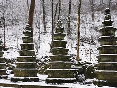 -老味道1992(武当山店)