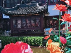 -豫园