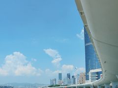-演武大桥观景平台