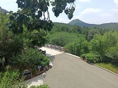 -佛慧山